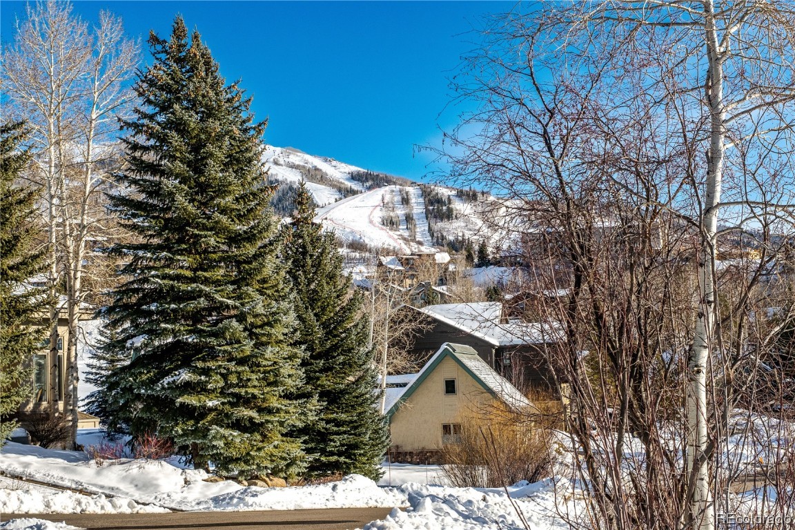 1603 Cornice COURT