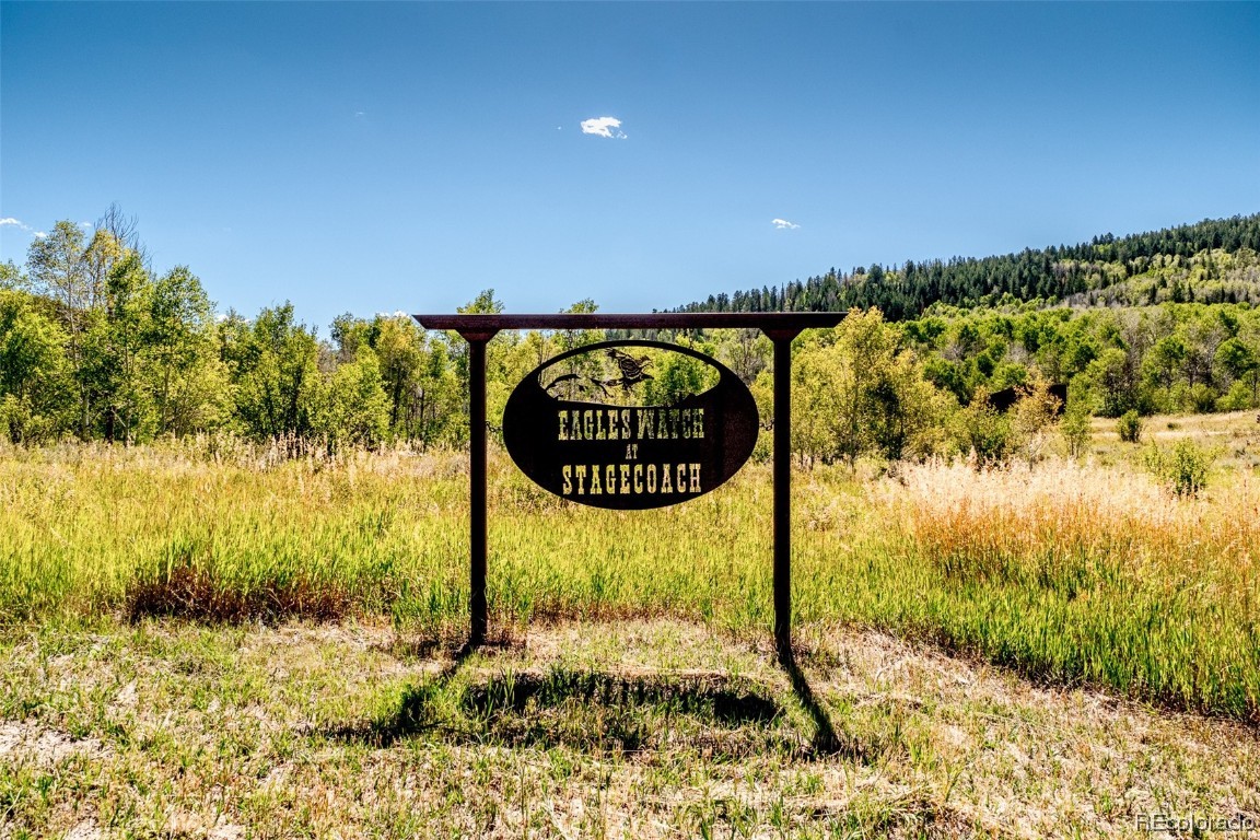 31080 Fallen Falcon TRAIL