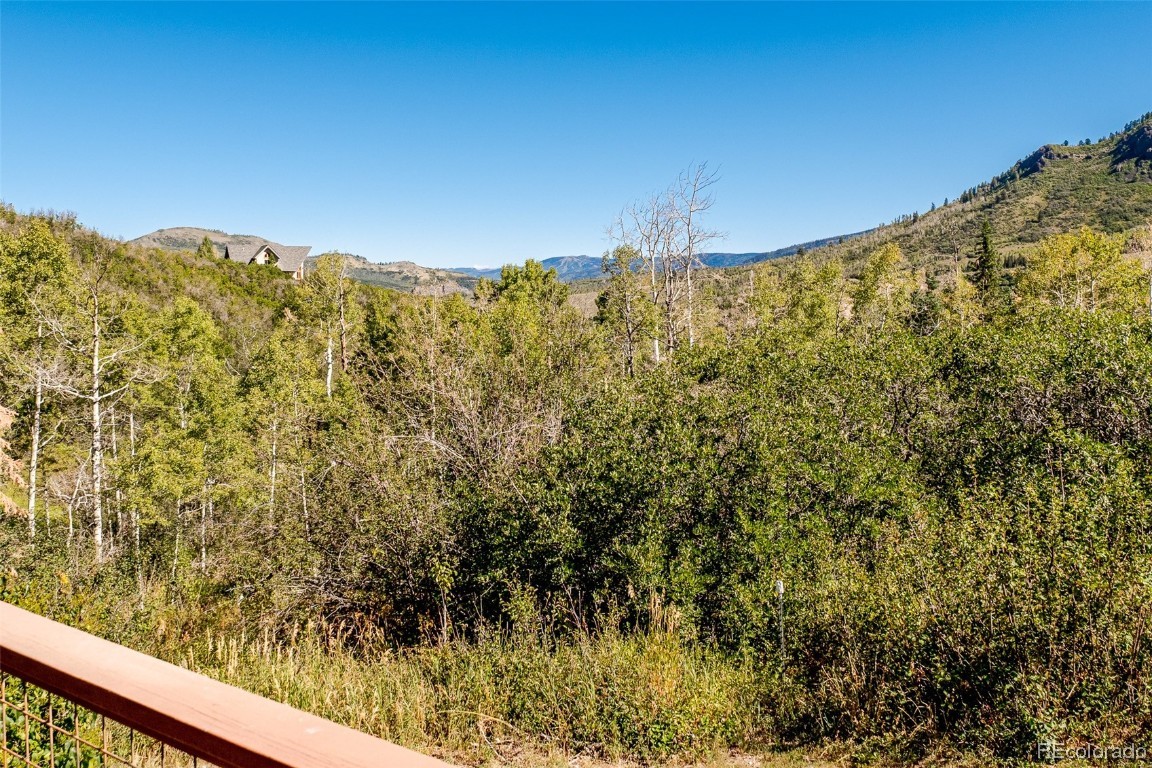 31080 Fallen Falcon TRAIL