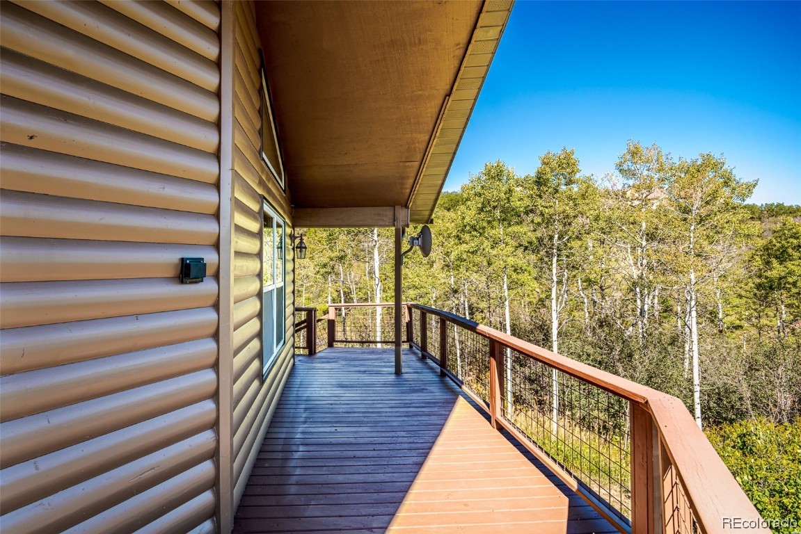 31080 Fallen Falcon TRAIL