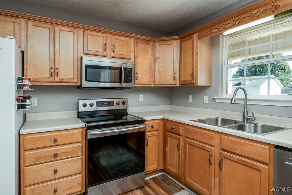 16275 Sand Creek Drive