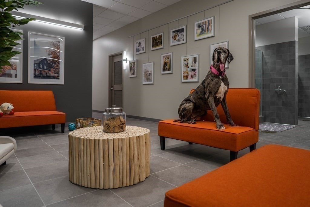 240 Devonshire Street # 5308