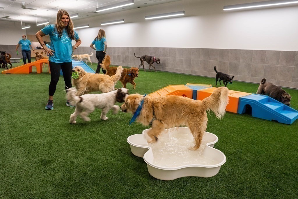 240 Devonshire Street # 5308