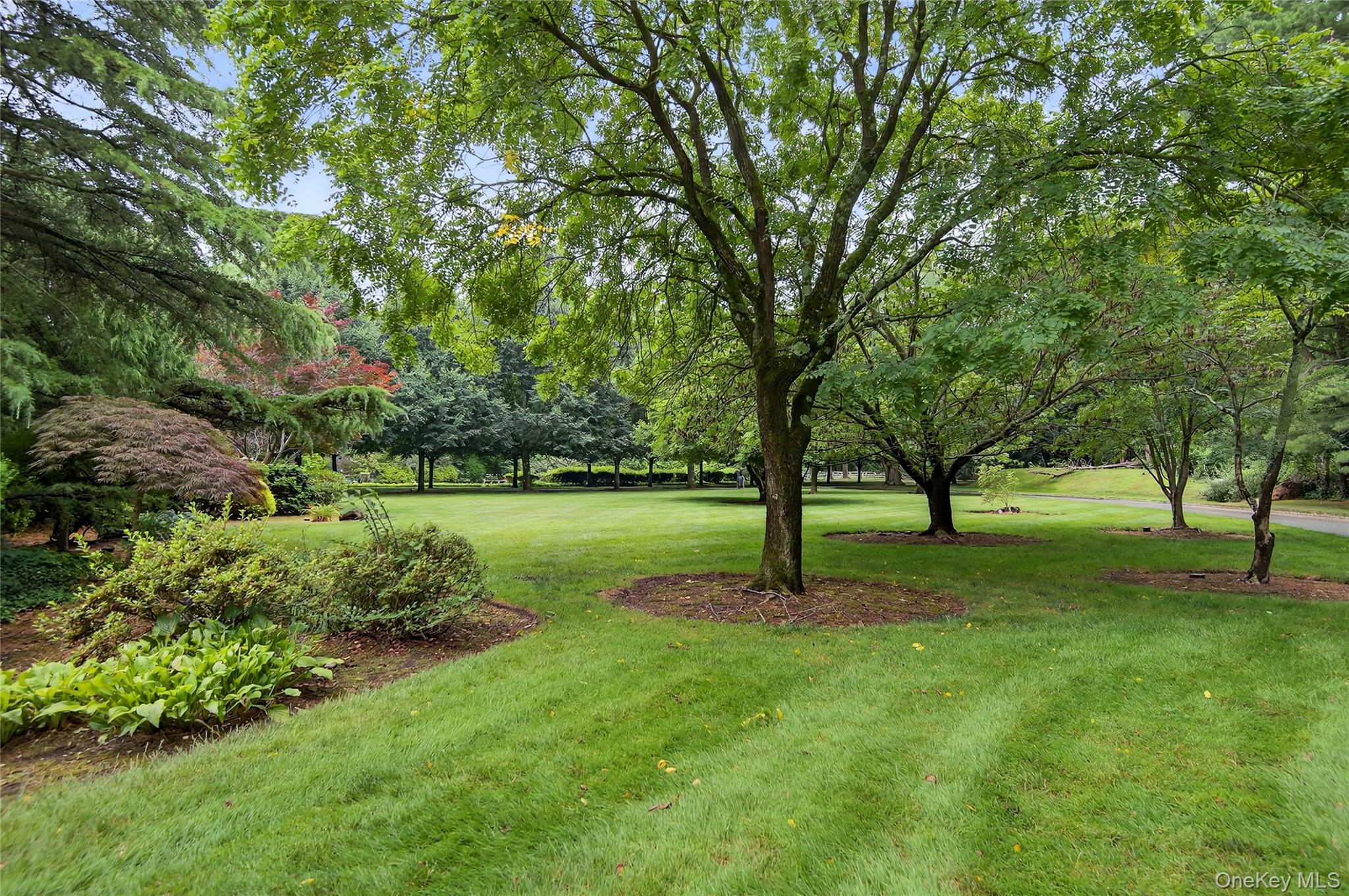 60 Piping Rock Road