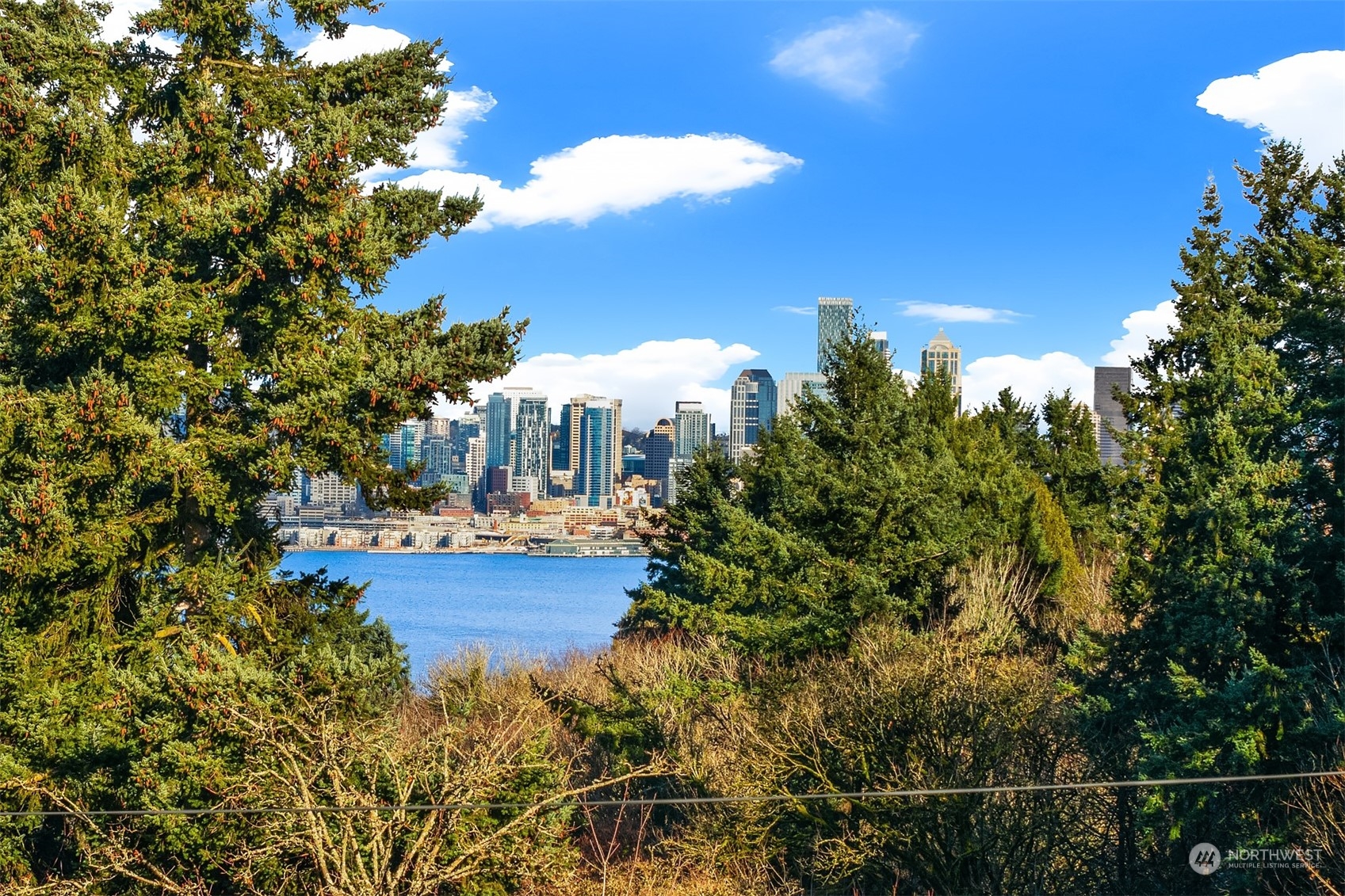 2602 Walnut Avenue SW Unit: B
