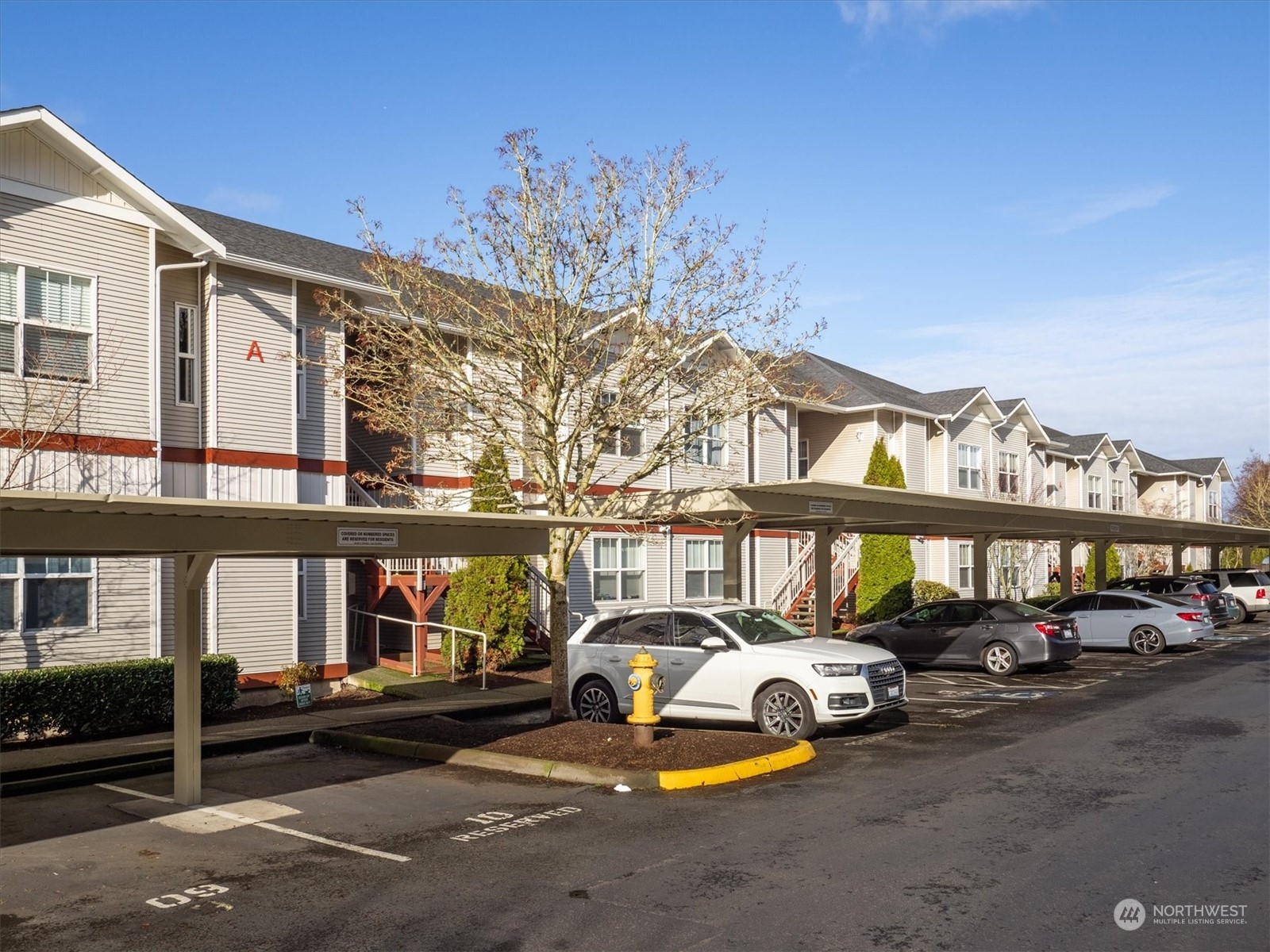 4217 164th Street SW Unit: A205
