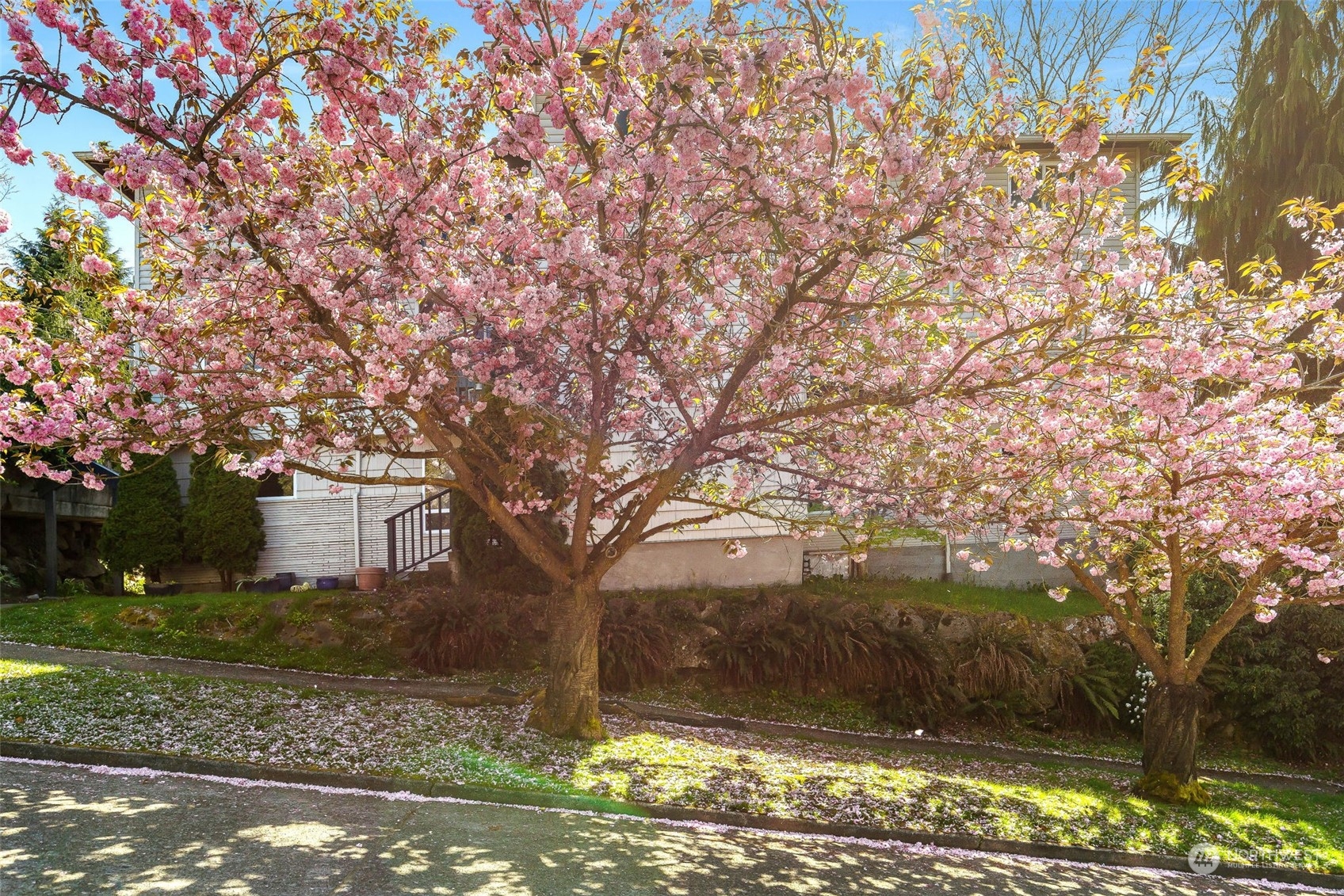 3917 SW Raymond Unit: 201