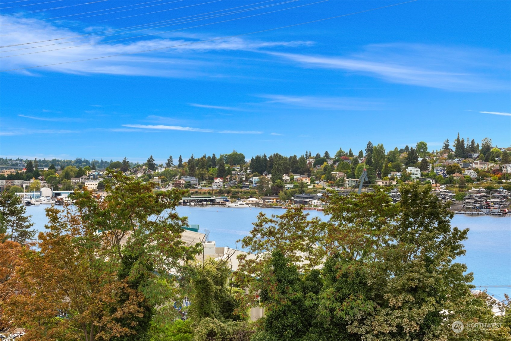 3217 Eastlake Avenue E Unit: 303