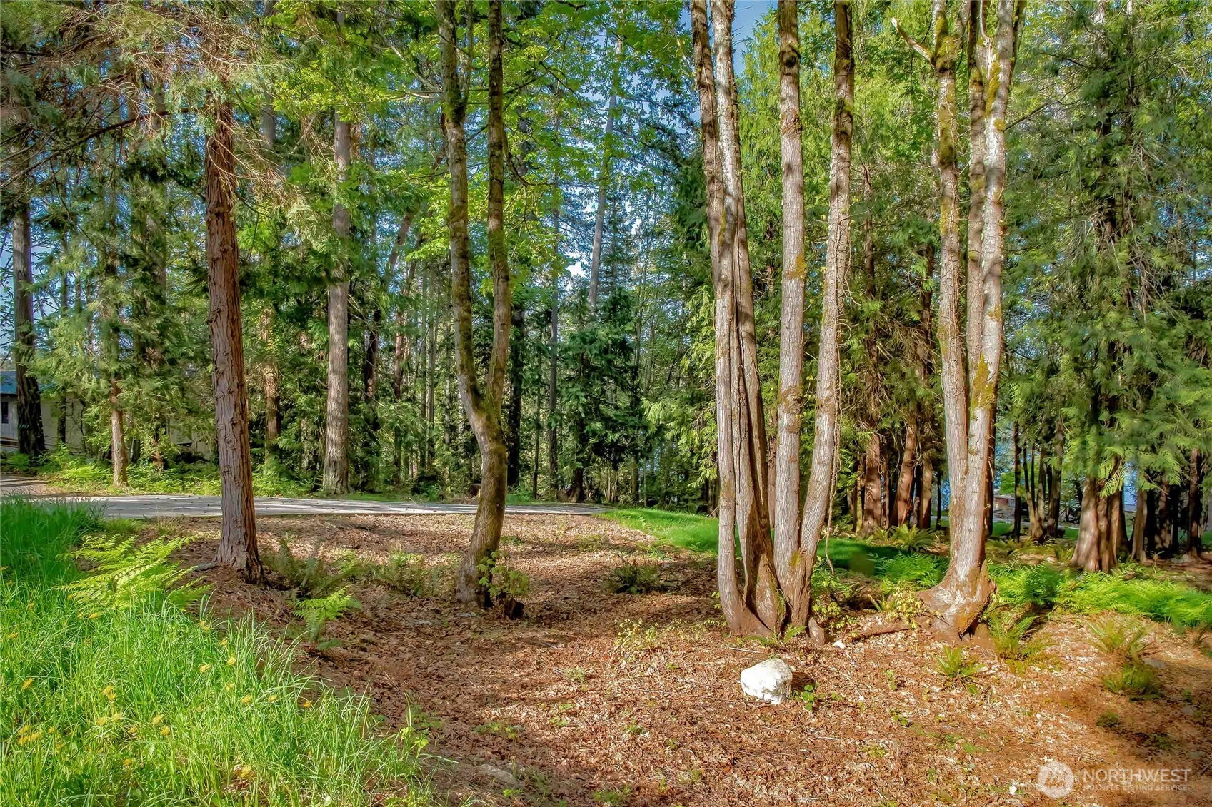 7809 Hansen Rd. NE