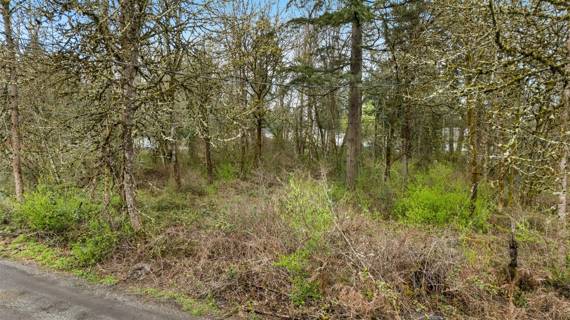 0 364 XX 48th Avenue S
