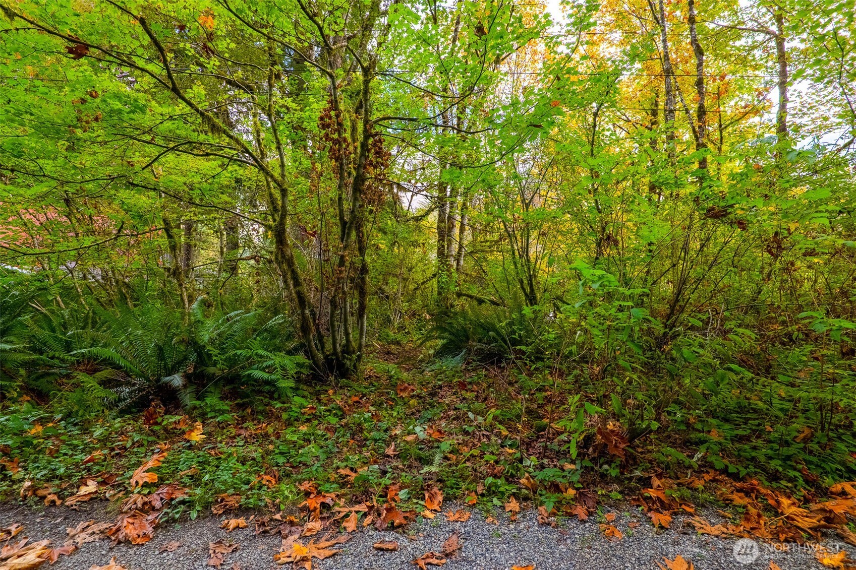 0 NE Index Creek Road
