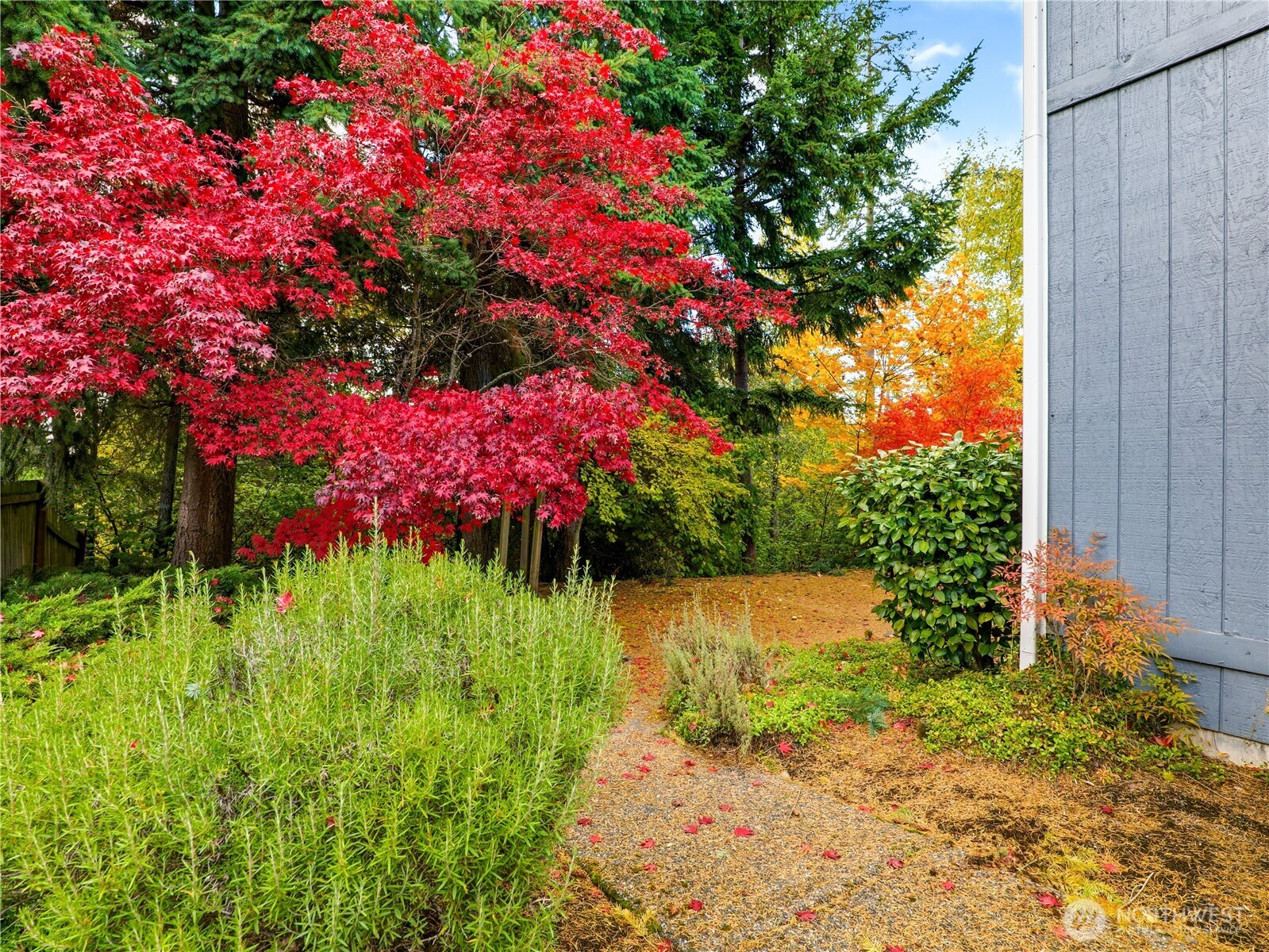 26122 St 121st Court E