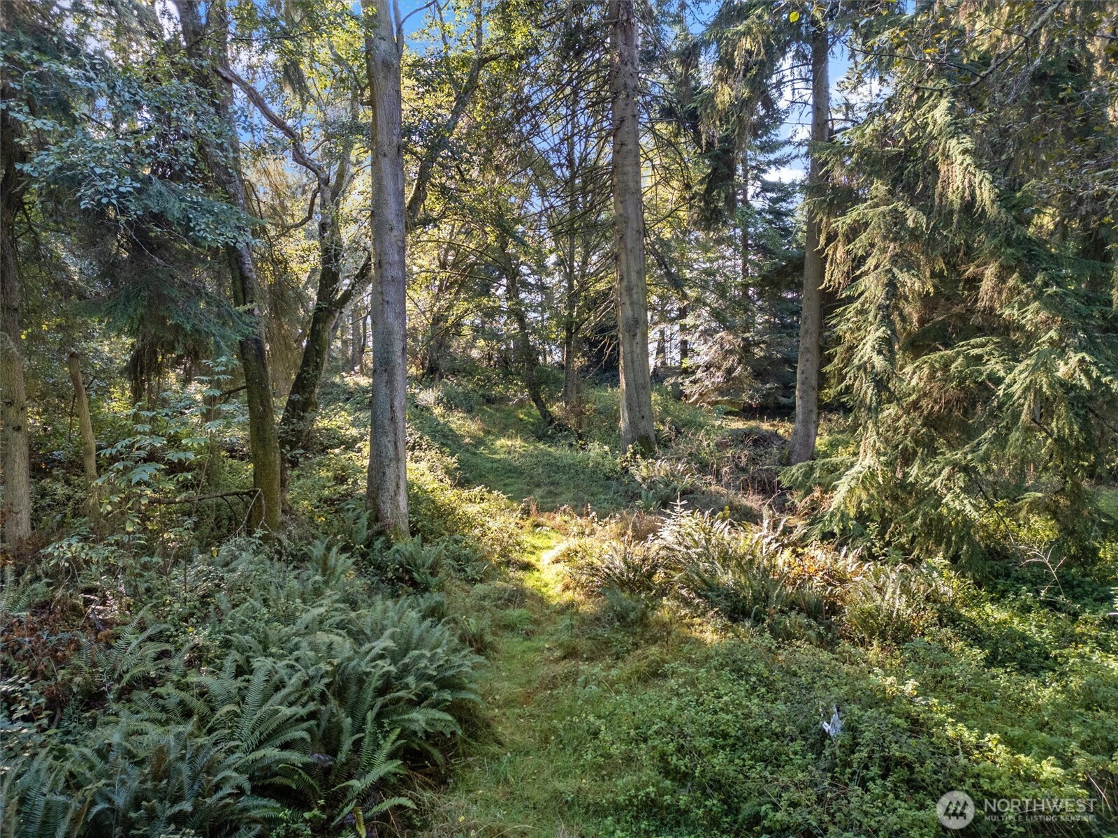 4530 Smugglers Cove Rd Road