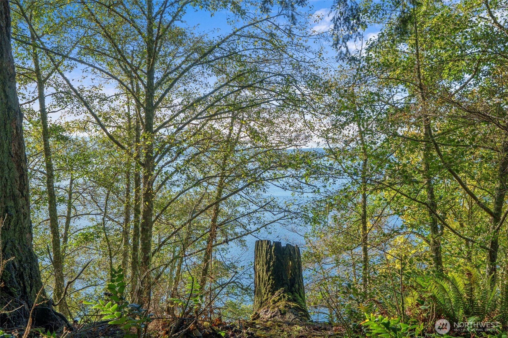 4530 Smugglers Cove Rd Road