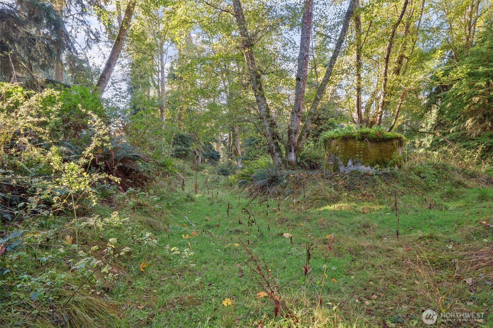 4530 Smugglers Cove Rd Road