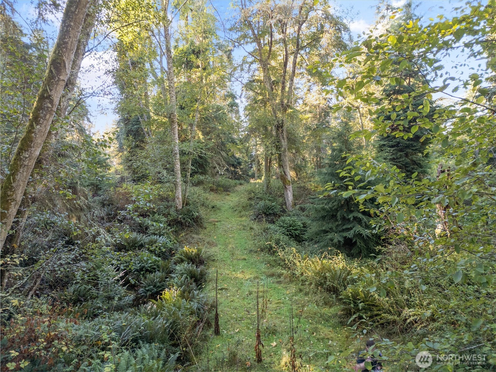 4530 Smugglers Cove Rd Road