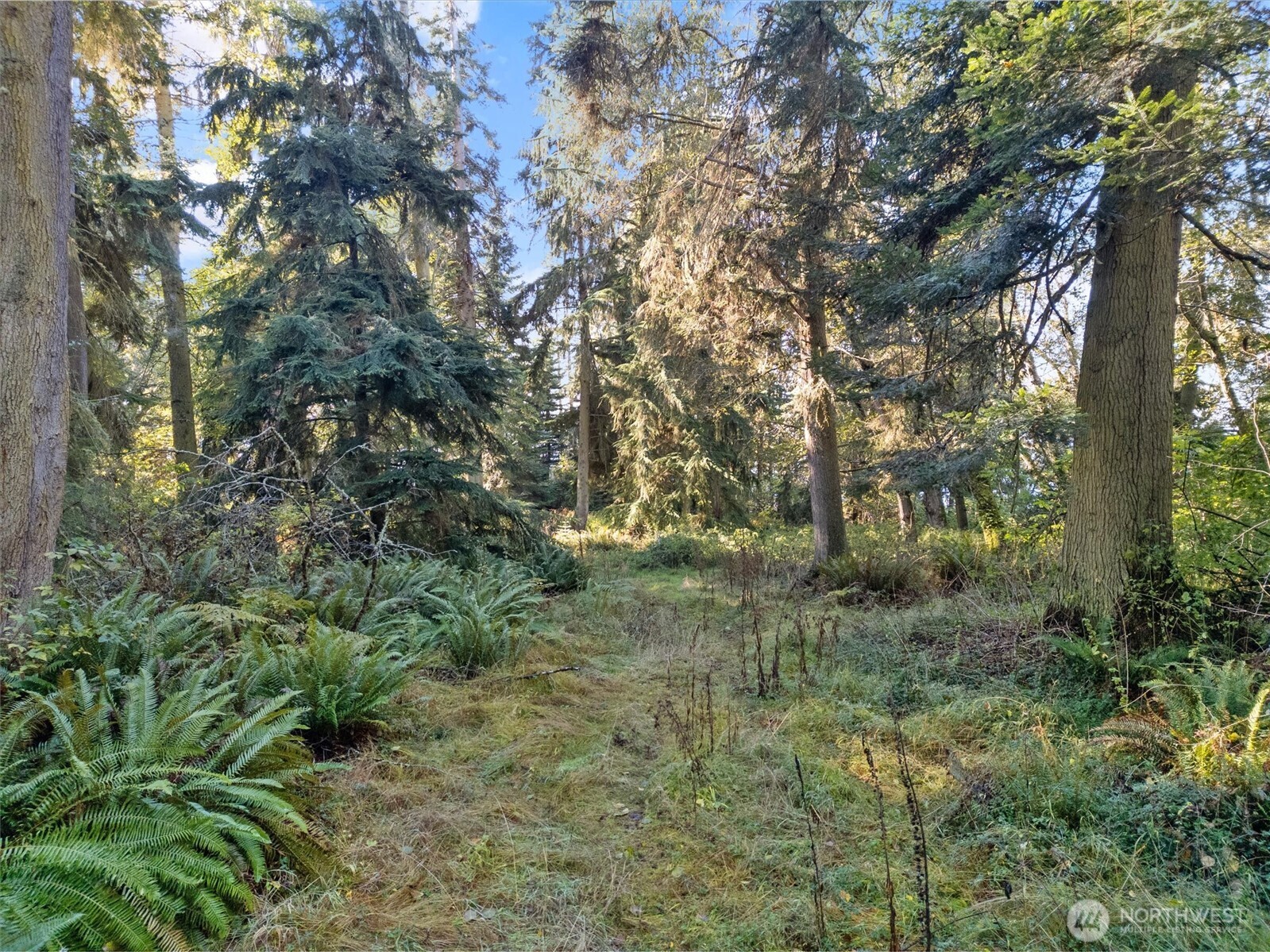 4530 Smugglers Cove Rd Road