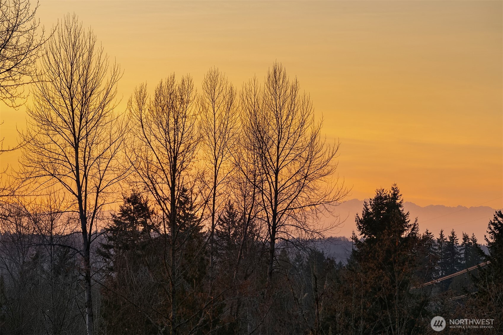 17030 Tiger Mountain Road SE
