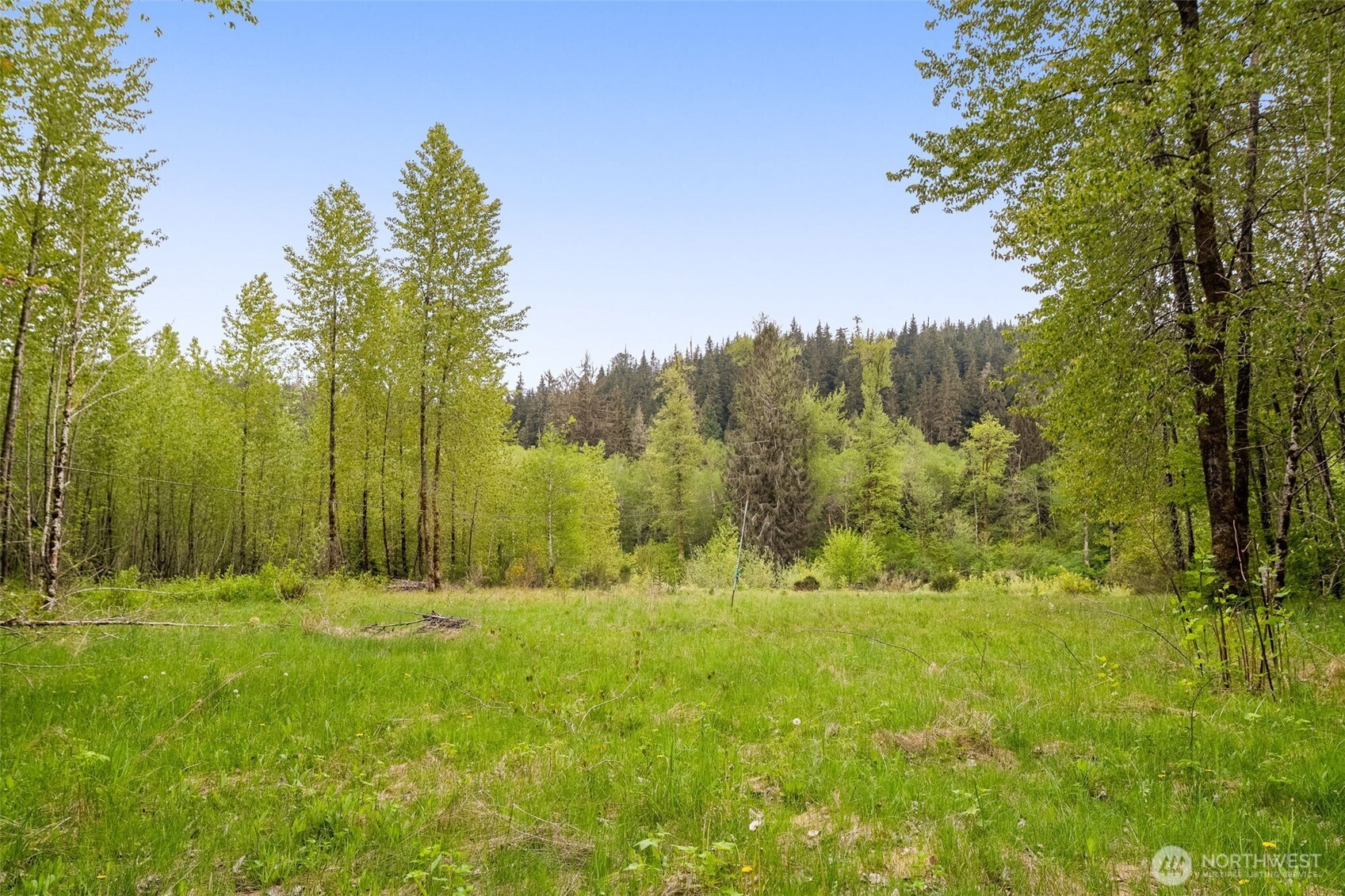 31212 Mountain Loop Highway