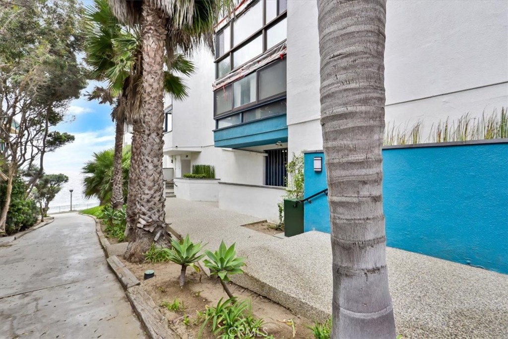 575 Esplanade 305