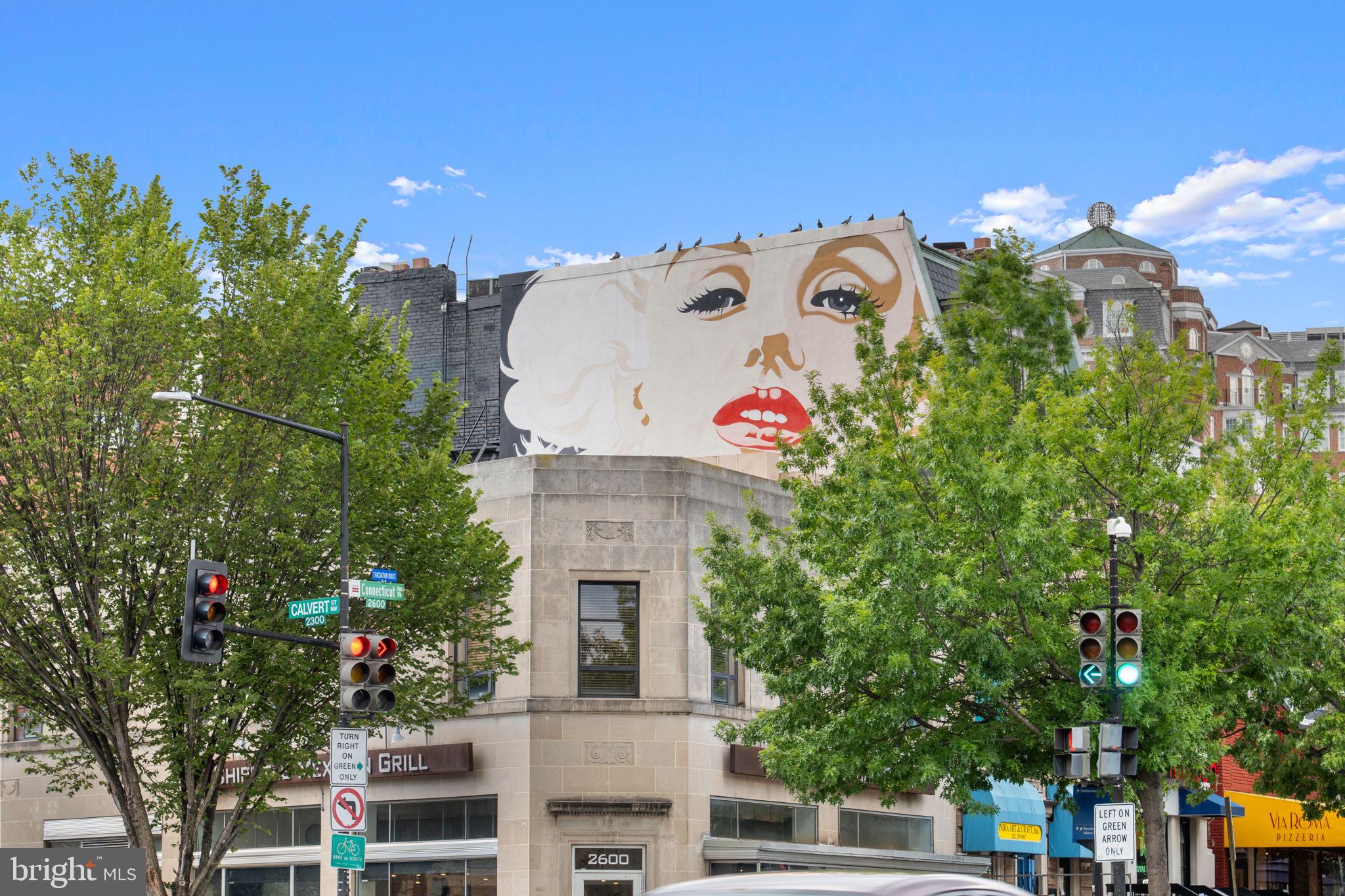 2630 ADAMS MILL ROAD NW T06