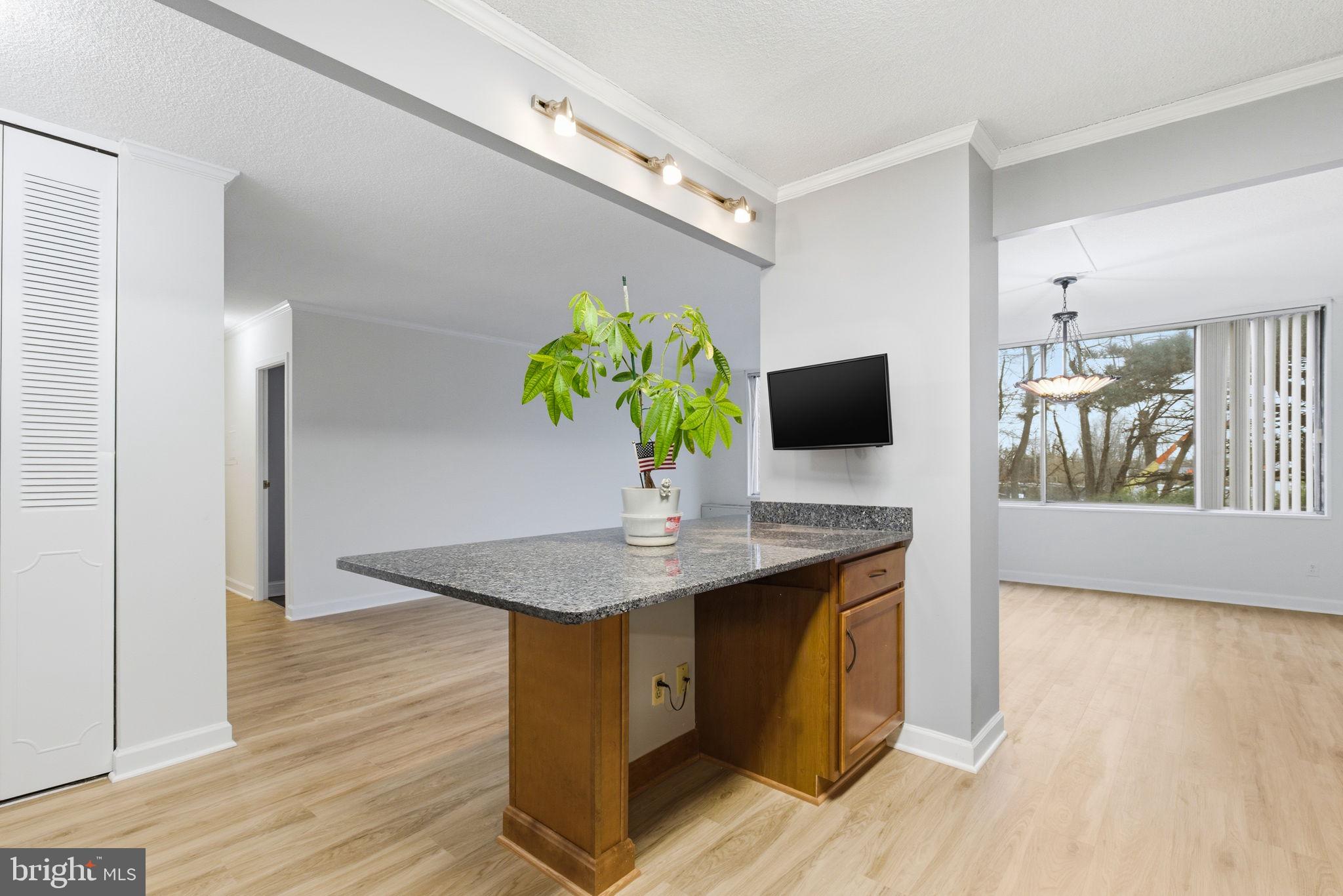 11801 ROCKVILLE PIKE 313