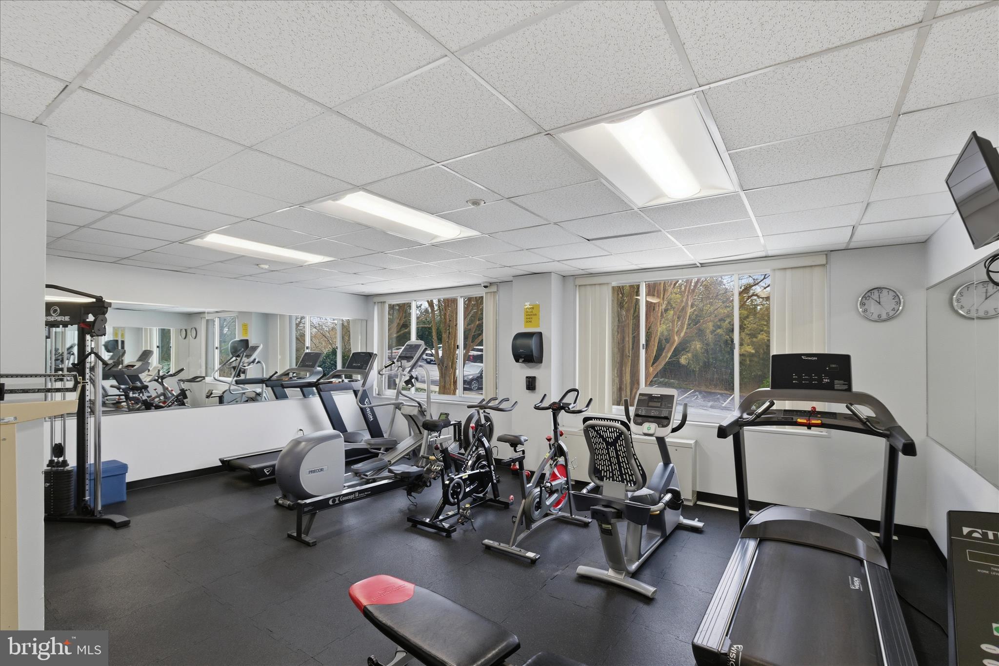 11801 ROCKVILLE PIKE 313