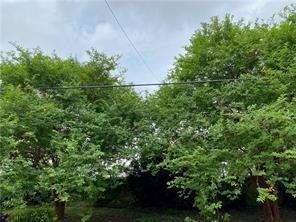 218 PELICAN Avenue