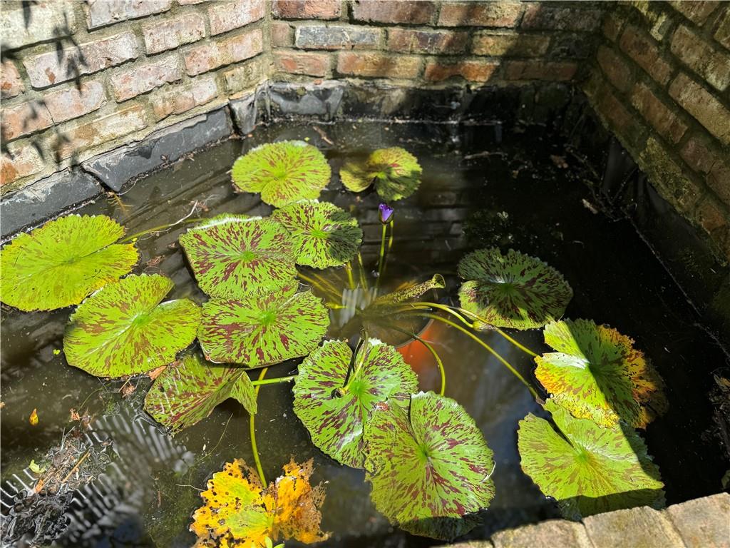 826 N CARROLLTON Avenue