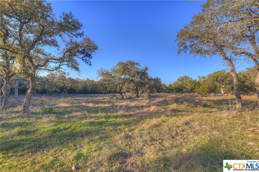 1156 Towhee Trail