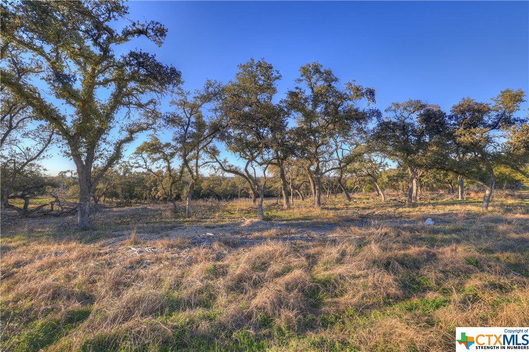 1156 Towhee Trail