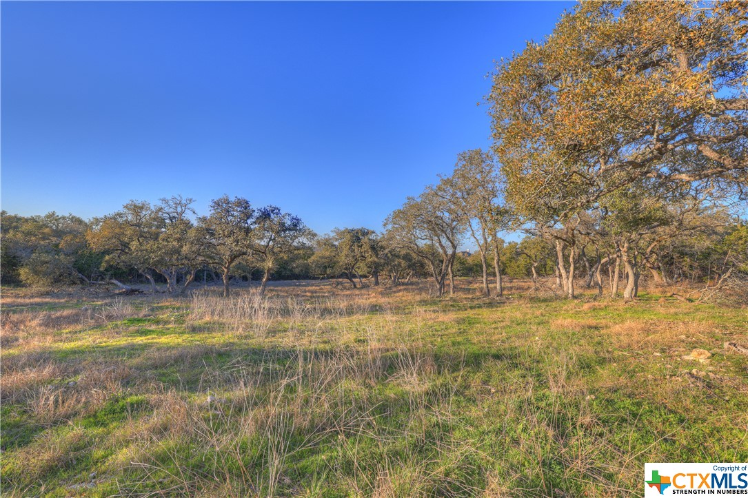 1156 Towhee Trail