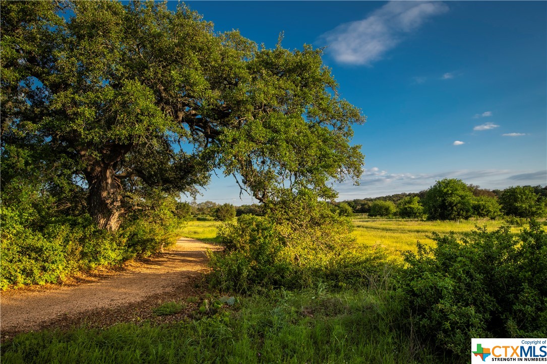 1156 Towhee Trail