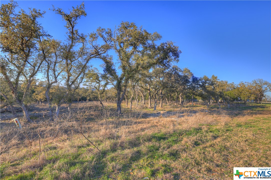 1156 Towhee Trail