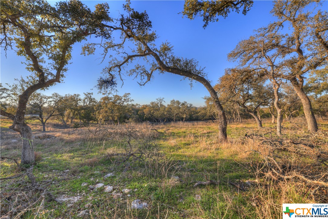 1156 Towhee Trail