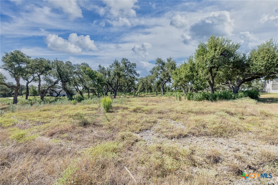 1625 Vintage Way