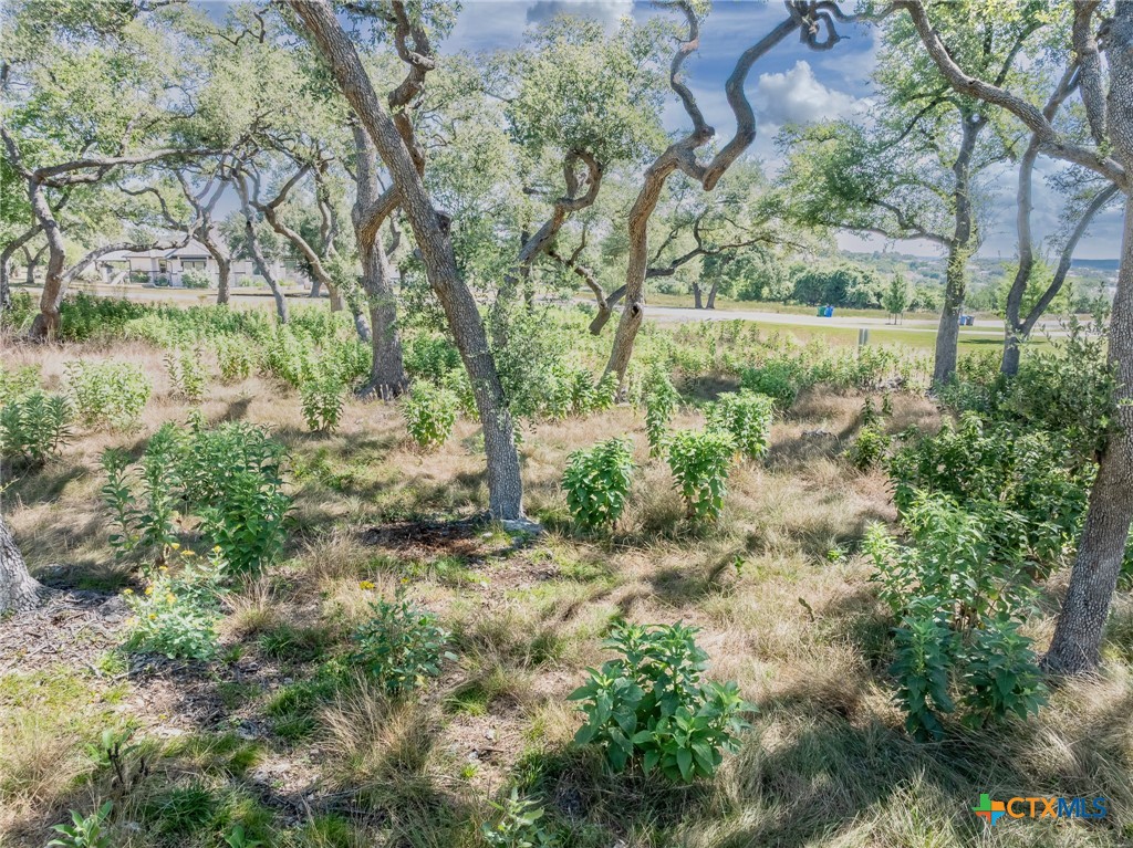 1625 Vintage Way