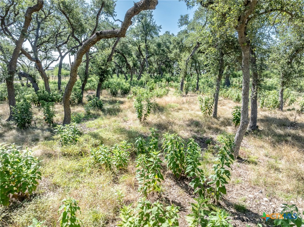1625 Vintage Way