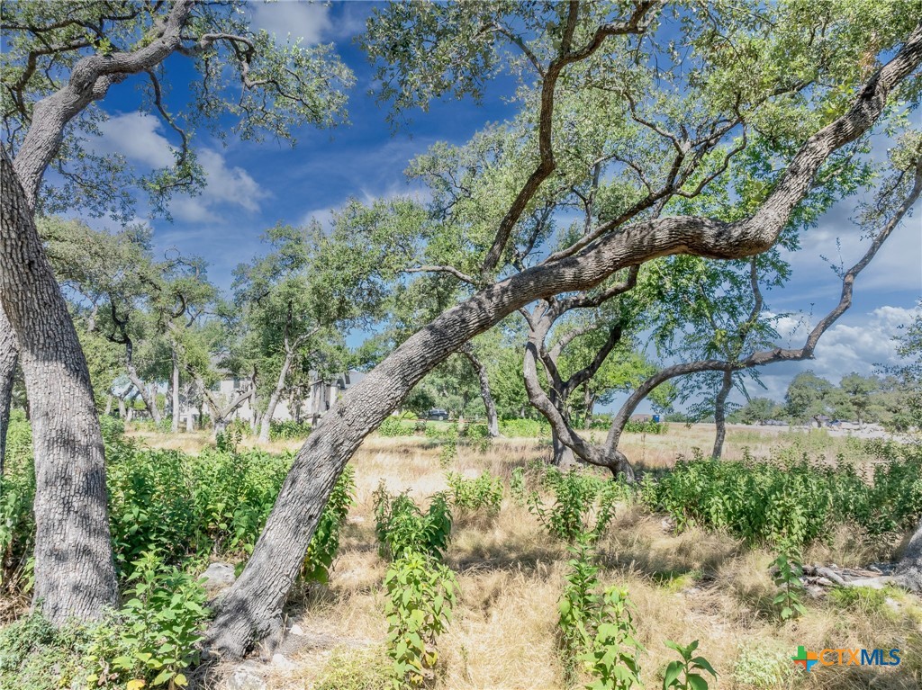 1625 Vintage Way