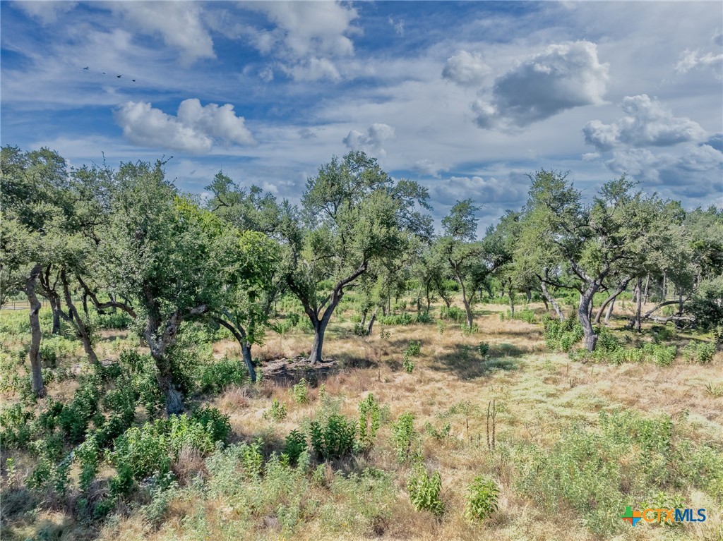 1625 Vintage Way