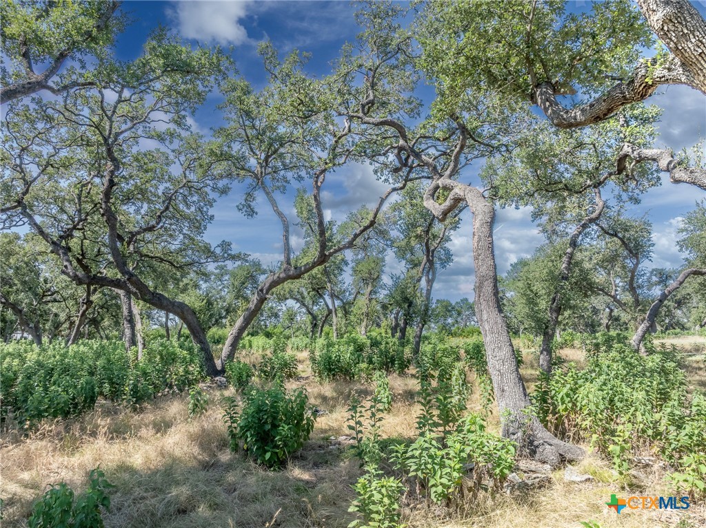 1625 Vintage Way