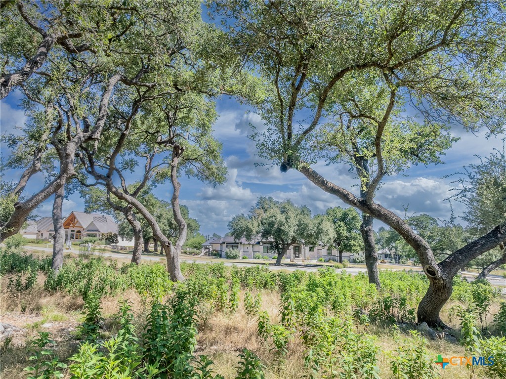 1625 Vintage Way