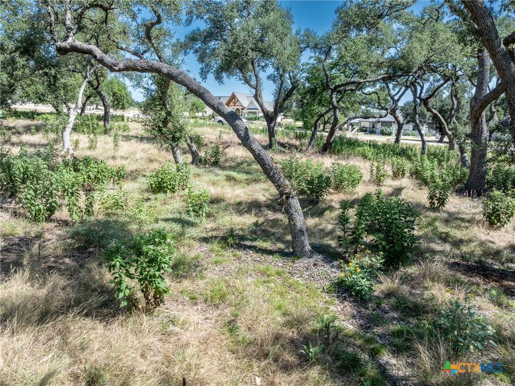 1625 Vintage Way