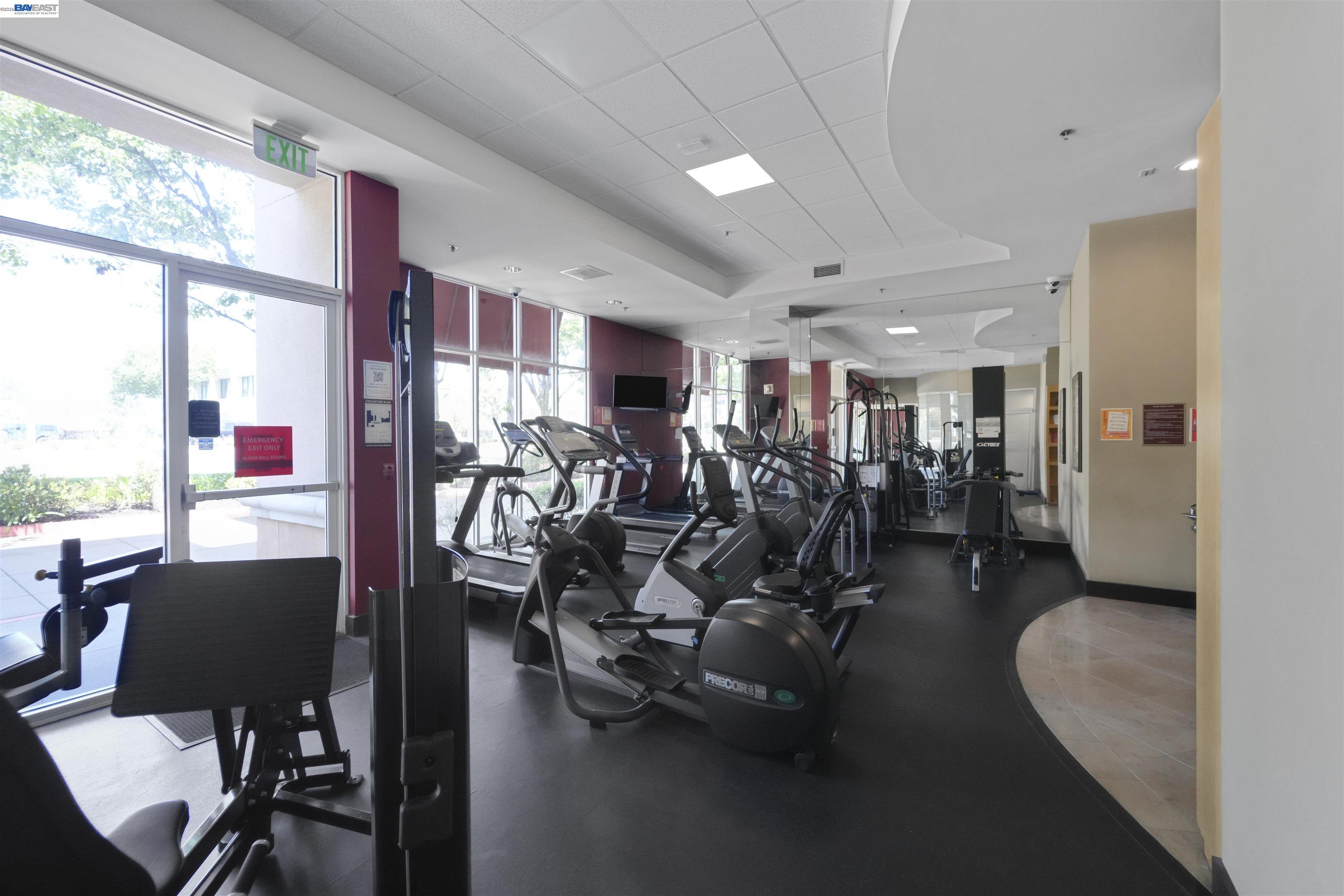 20488 Stevens Creek Blvd # 2302