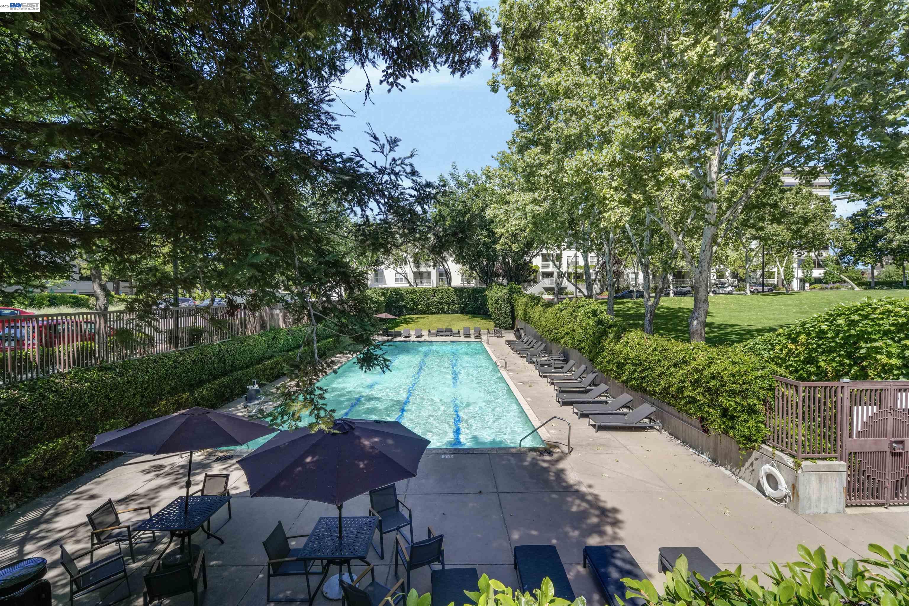 20488 Stevens Creek Blvd # 2302