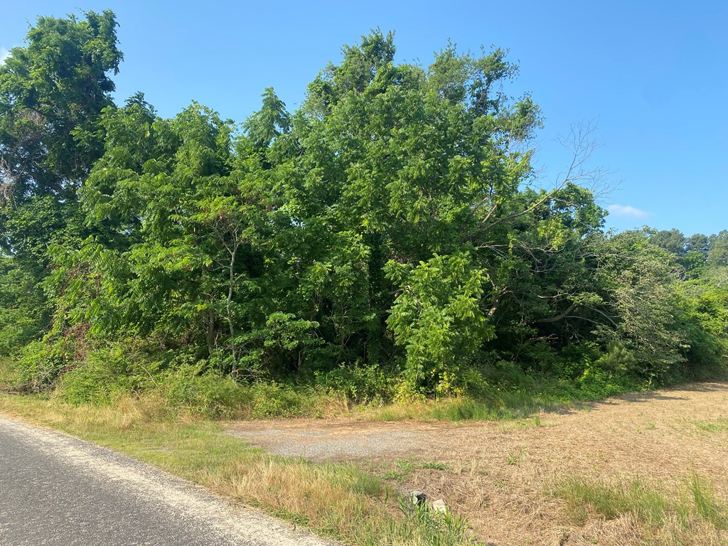 Lot 49 OYSTER POINT DRIVE