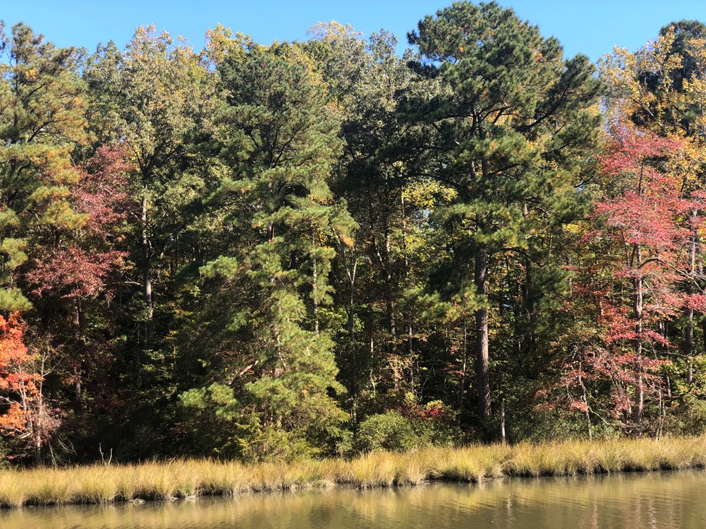 Lot 20-3 Wicomico Way