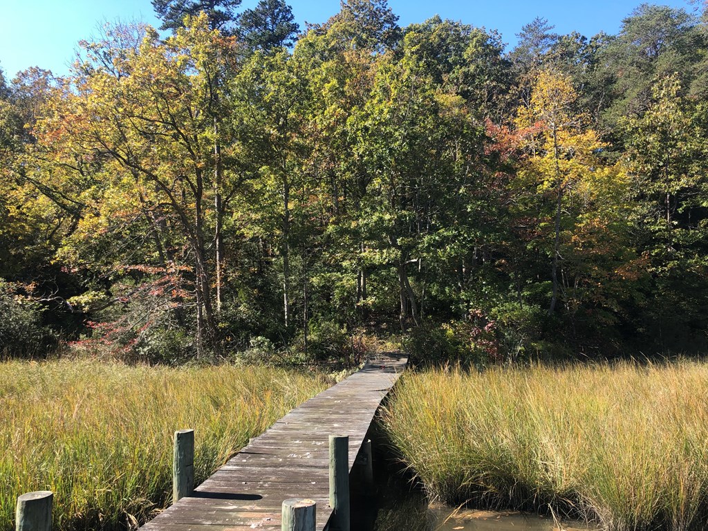 Lot 20-3 Wicomico Way