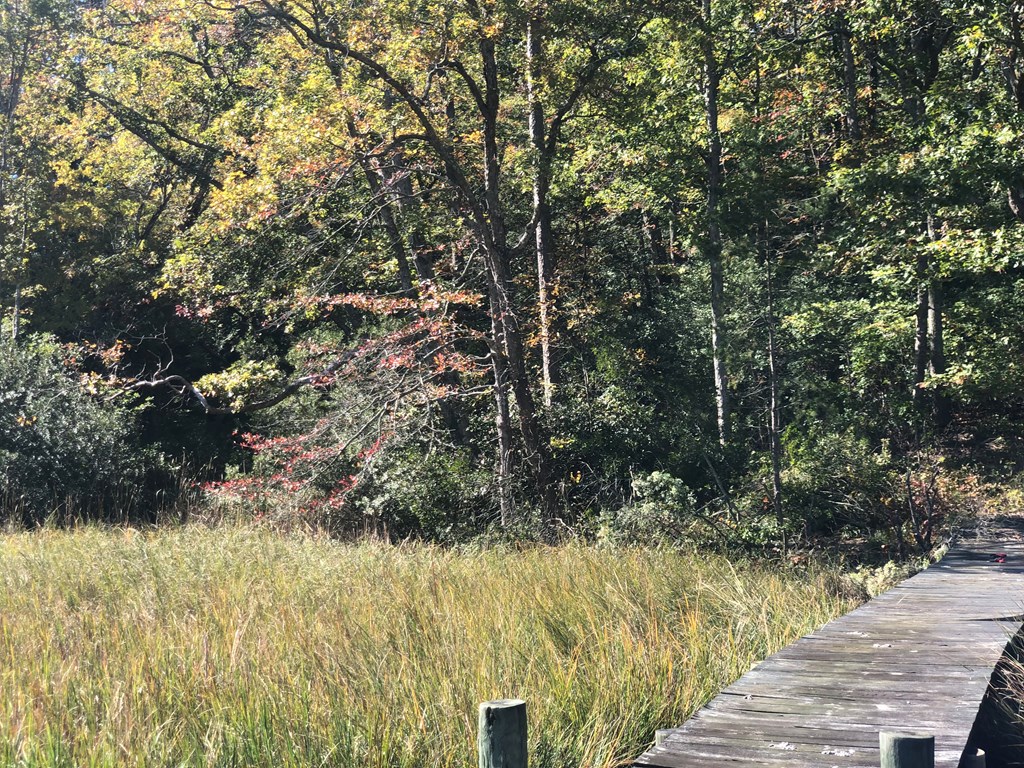 Lot 20-3 Wicomico Way