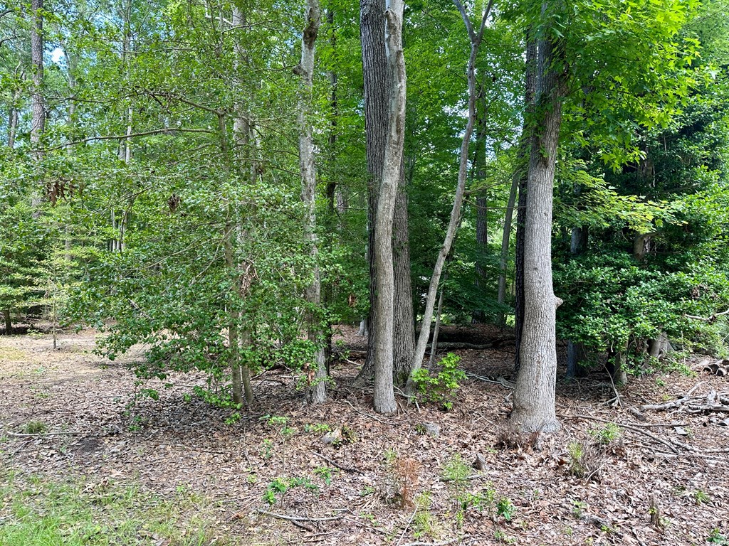 Lots 4&5 Hampton Place